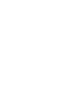 Logo fisa