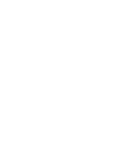 Logo OneLife